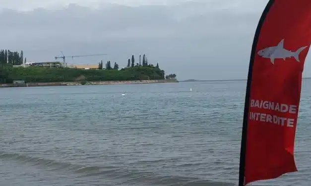 Nouvelle-Calédonie, hotspot du risque requin ?