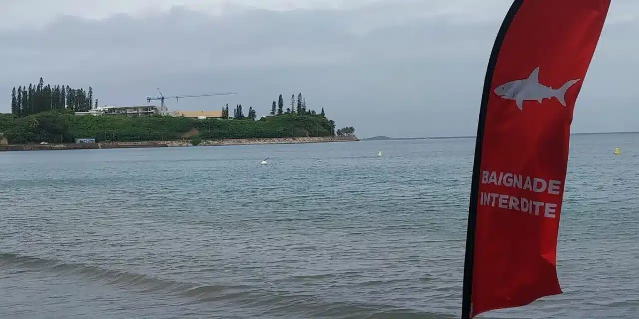 Nouvelle-Calédonie, hotspot du risque requin ?