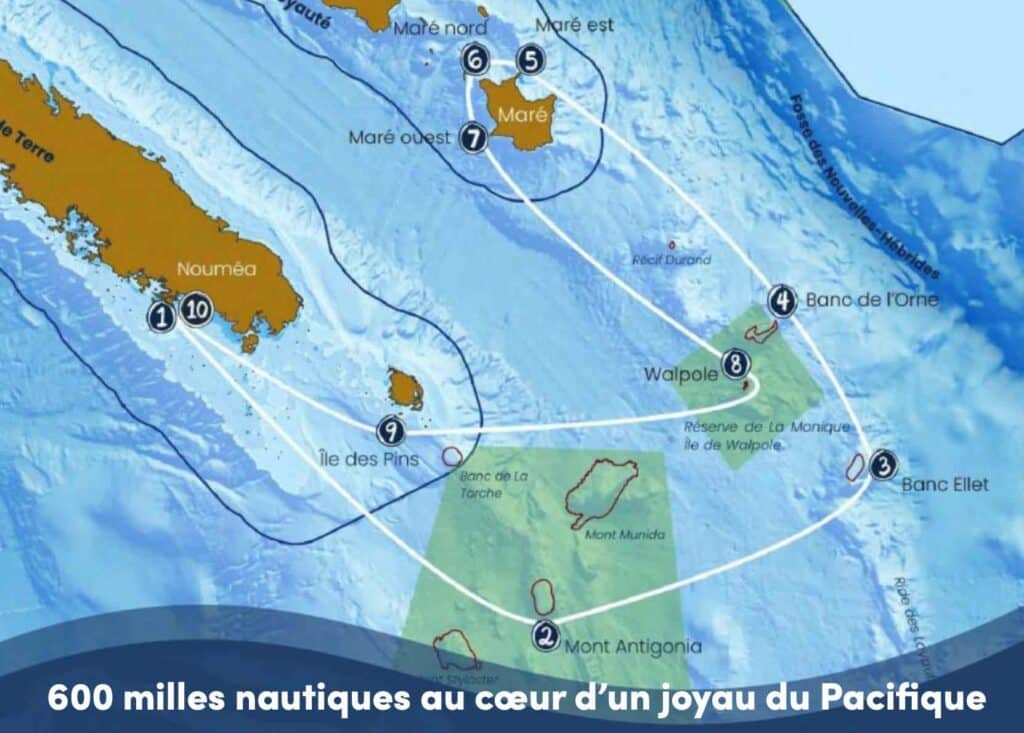 Corail 600