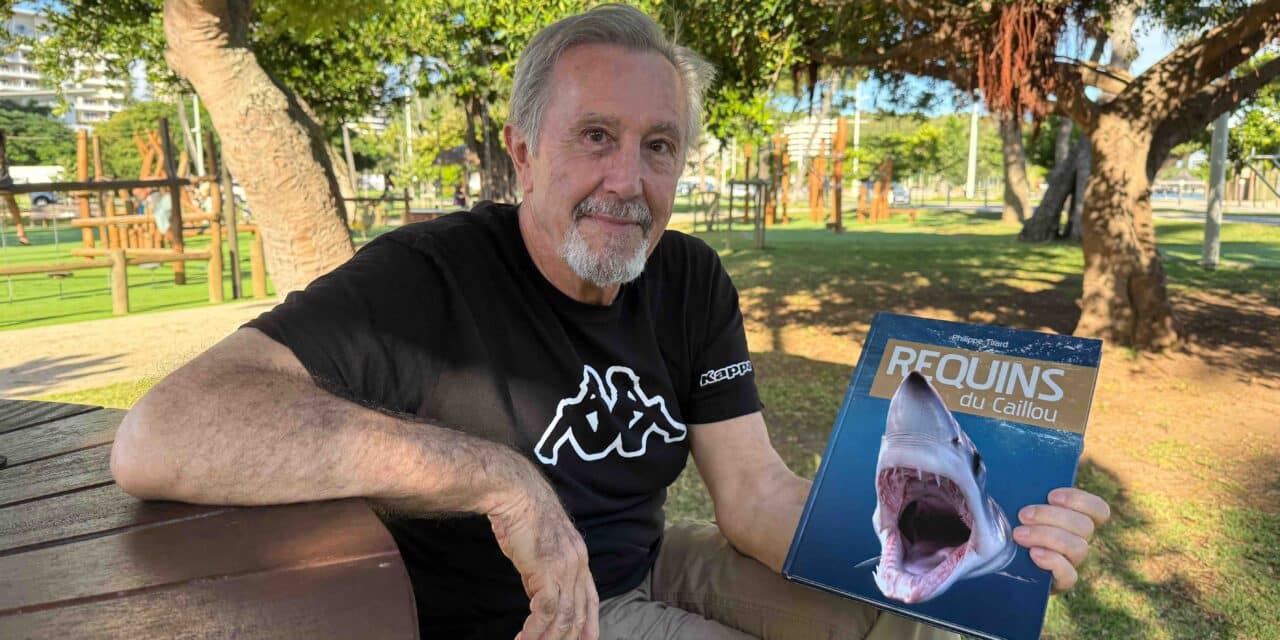 Rencontre avec Philippe Tirard, l’homme qui a consacré sa vie aux requins