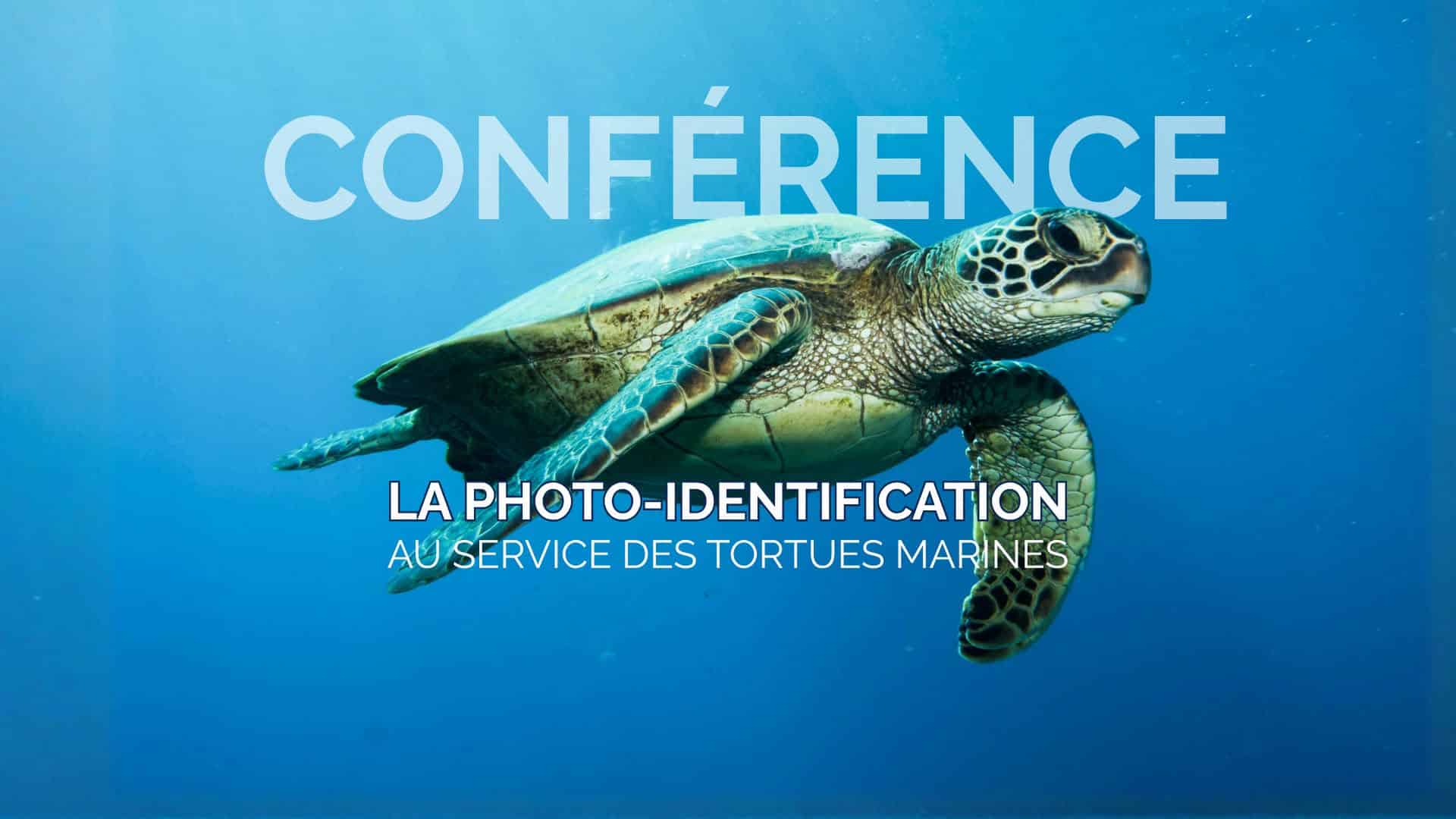 Conférence – La photo-identification au service des tortues marines