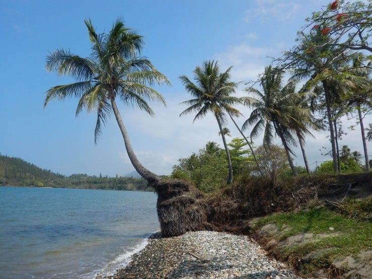 littoral