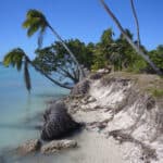 Le littoral calédonien perd du terrain…