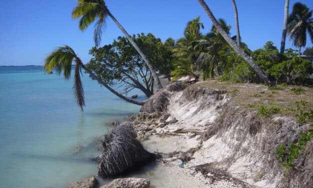 Le littoral calédonien perd du terrain…