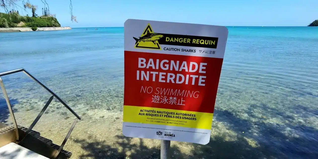 Rencontre avec Laurent Thomas, le capitaine des sapeurs-pompiers face au risque requin