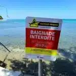 Rencontre avec Laurent Thomas, le capitaine des sapeurs-pompiers face au risque requin