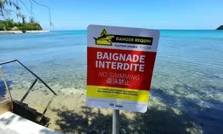 Rencontre avec Laurent Thomas, le capitaine des sapeurs-pompiers face au risque requin