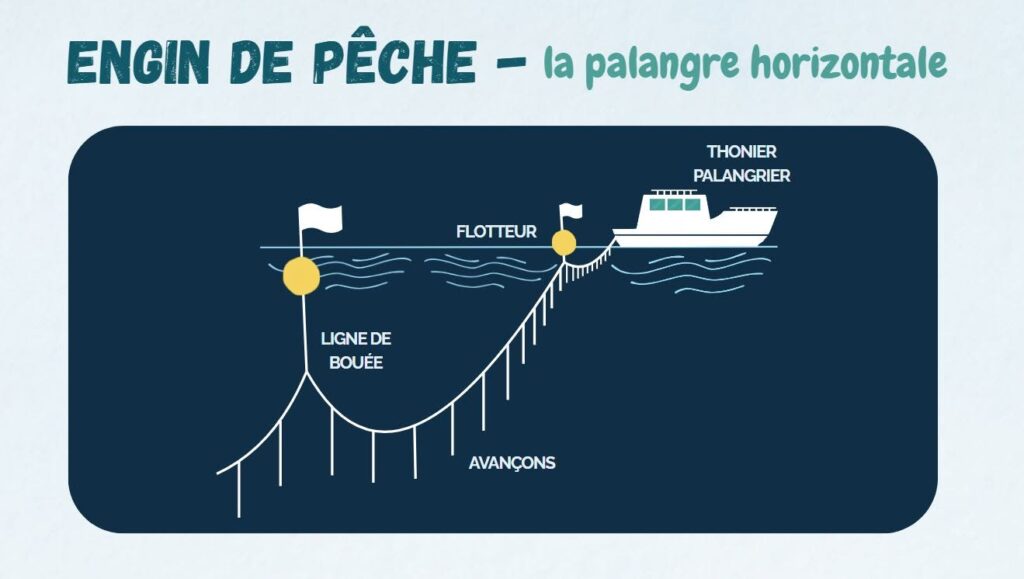 pêche