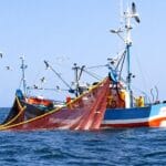 Qu’en est-il de la pêche dans notre ZEE ?