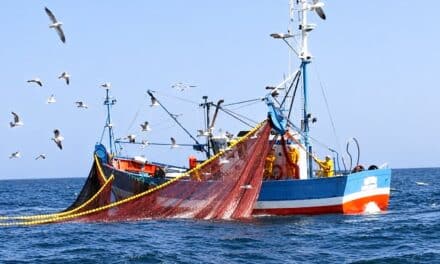 Qu’en est-il de la pêche dans notre ZEE ?
