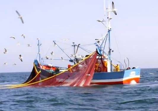 Qu’en est-il de la pêche dans notre ZEE ?