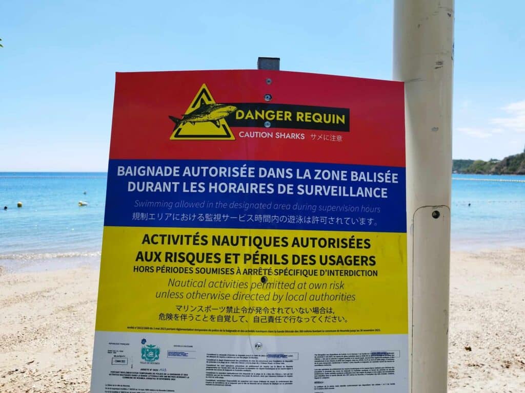 requin