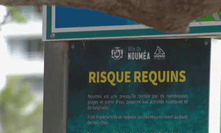 Rencontre avec Tatiana Tchong-Fat, chargée d’études et projets stratégiques à la Ville de Nouméa